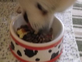 180630-1.jpg