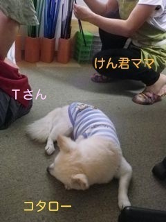 180705-3.jpg