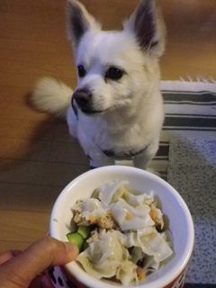 180708-3.jpg