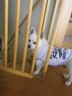 180714-2.jpg