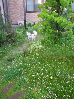 180715-5.jpg