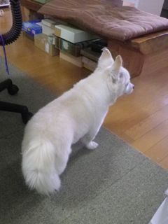 180720-2.jpg