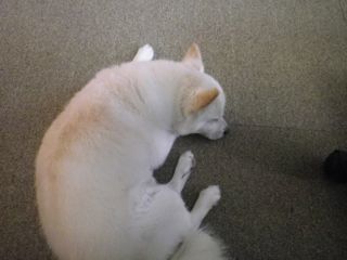 180720-3.jpg