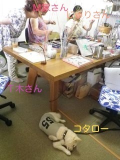 180721-3.jpg