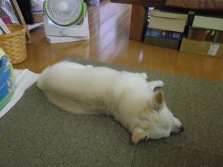 180801-2.jpg