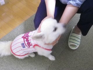 180801-4.jpg