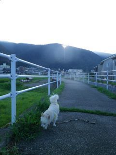 180802-1.jpg