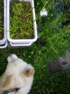 180803-2.jpg