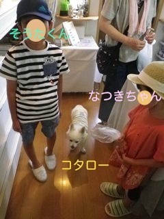 180803-7.jpg