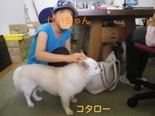 180806-6.jpg