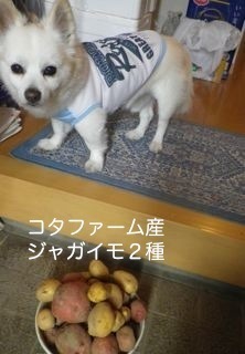 180807-1.jpg