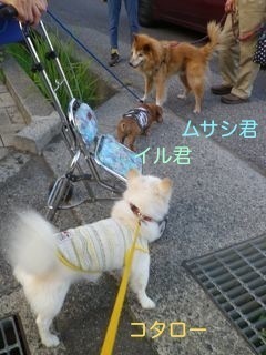 180827-3.jpg
