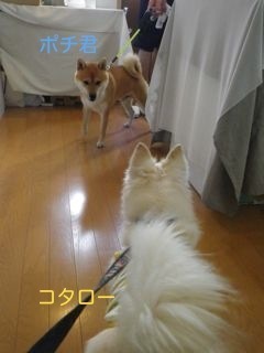 180828-3.jpg