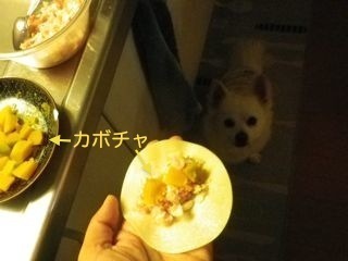 180901-1.jpg