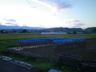 180905-2.jpg