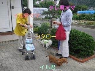180906-4.jpg