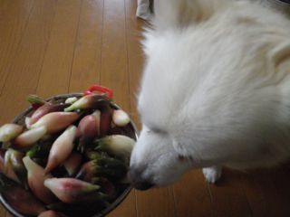 180907-1.jpg