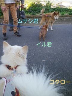 180919-2.jpg