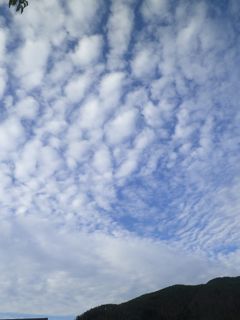 181002-1.jpg