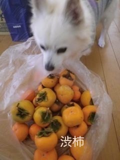 181014-2.jpg