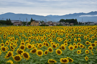 2E018A9B-58CC-4A3A-94F0-E39522B6E884.jpeg