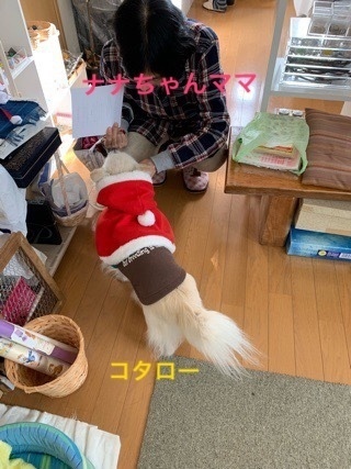 2ED00F6A-9A3E-4001-BA2A-2433572A4522.jpeg