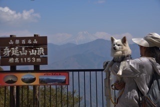2FF61398-3734-41F3-A312-3C800816FE7D.jpeg