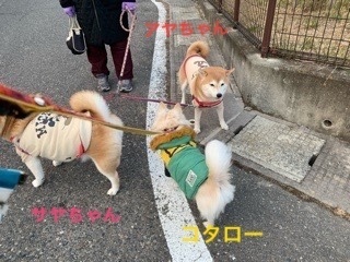 413A957E-6F76-4FD9-BA4B-493384643DFD.jpeg