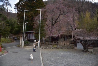 466A2AE9-BCA4-495F-BC27-A467B81F8ED9.jpeg