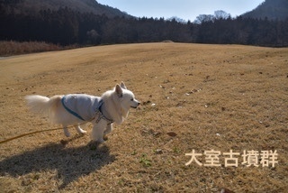 575BCC8B-5B2B-4DFF-8F12-8CAEE72115E1.jpeg