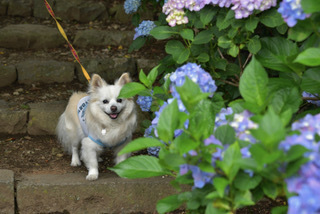 5D49DCCE-BB8D-4726-BC3F-32BC66EE7583.jpeg