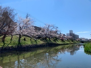 64F35D83-423A-44AD-A941-638F300967AE.jpeg