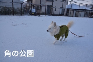 6C7D0AEC-5716-4CB4-B3E9-4B094AEABA5A.jpeg