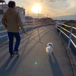 729EE08C-18D3-418F-BA3F-A8D1986FD678.jpeg