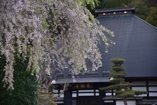 8E279CA2-A6CA-454D-AC8B-4B871958BE35.jpeg