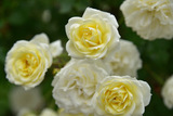 8EDB23AB-9DC5-4204-A3E7-73C4621B885D.jpeg