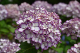 92DD464B-06EA-4AAF-9601-0C19FBC405DF.jpeg