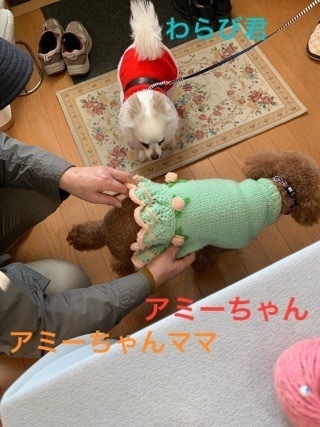 96ADEC89-D55C-4F22-8B62-BF65918B7EEF.jpeg