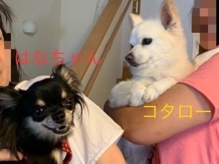 9FD2D2E6-5564-49CC-84B5-CEA21FE8B9EE.jpeg