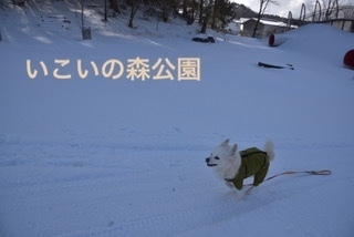 A27D75E8-EE13-4F3E-BDC3-1F50484931D9.jpeg