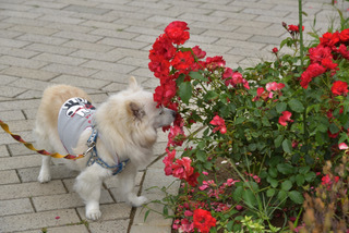 A3C5280E-A100-4521-8B04-424827D4BF78.jpeg
