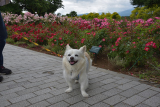AAE924DD-8D2E-412F-A378-8559895F7A71.jpeg