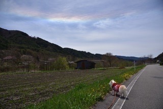 B8E497C8-9076-437E-A854-75E96167274A.jpeg
