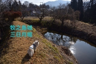 E18AFCDD-6BAD-4223-B74A-66C75A0C50E0.jpeg