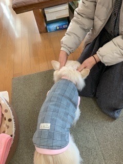 E6B6613A-371F-4E5B-9673-BC8553718FDF.jpeg