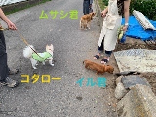 EF445CDF-714E-4F59-A054-1EA4E1A4DCA2.jpeg