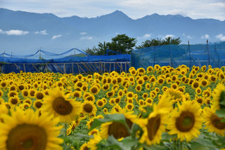EF96BC5C-254A-447C-9424-C6A82F3EBE04.jpeg