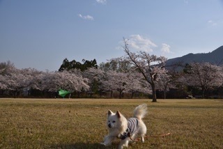 F0C008A3-17E2-4DD3-9C70-33B12424817E.jpeg