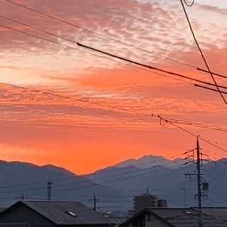 F73AD91E-FC55-44EB-A90F-75AD281A02DF.jpeg